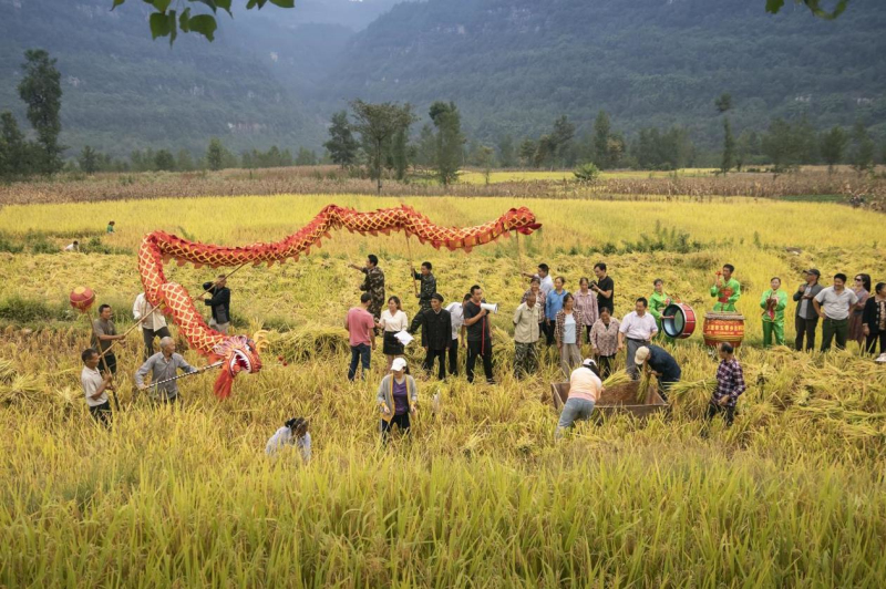 诗意晒丰收 乡村拾秋韵