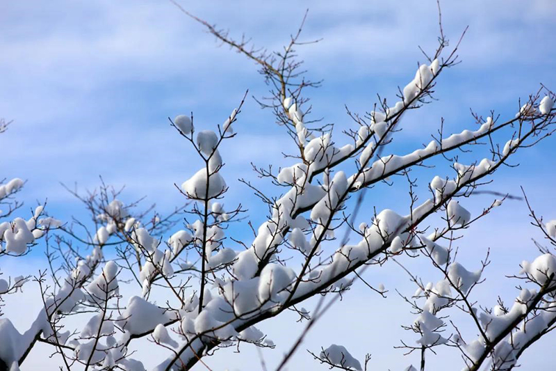 巴山大峡谷雪景